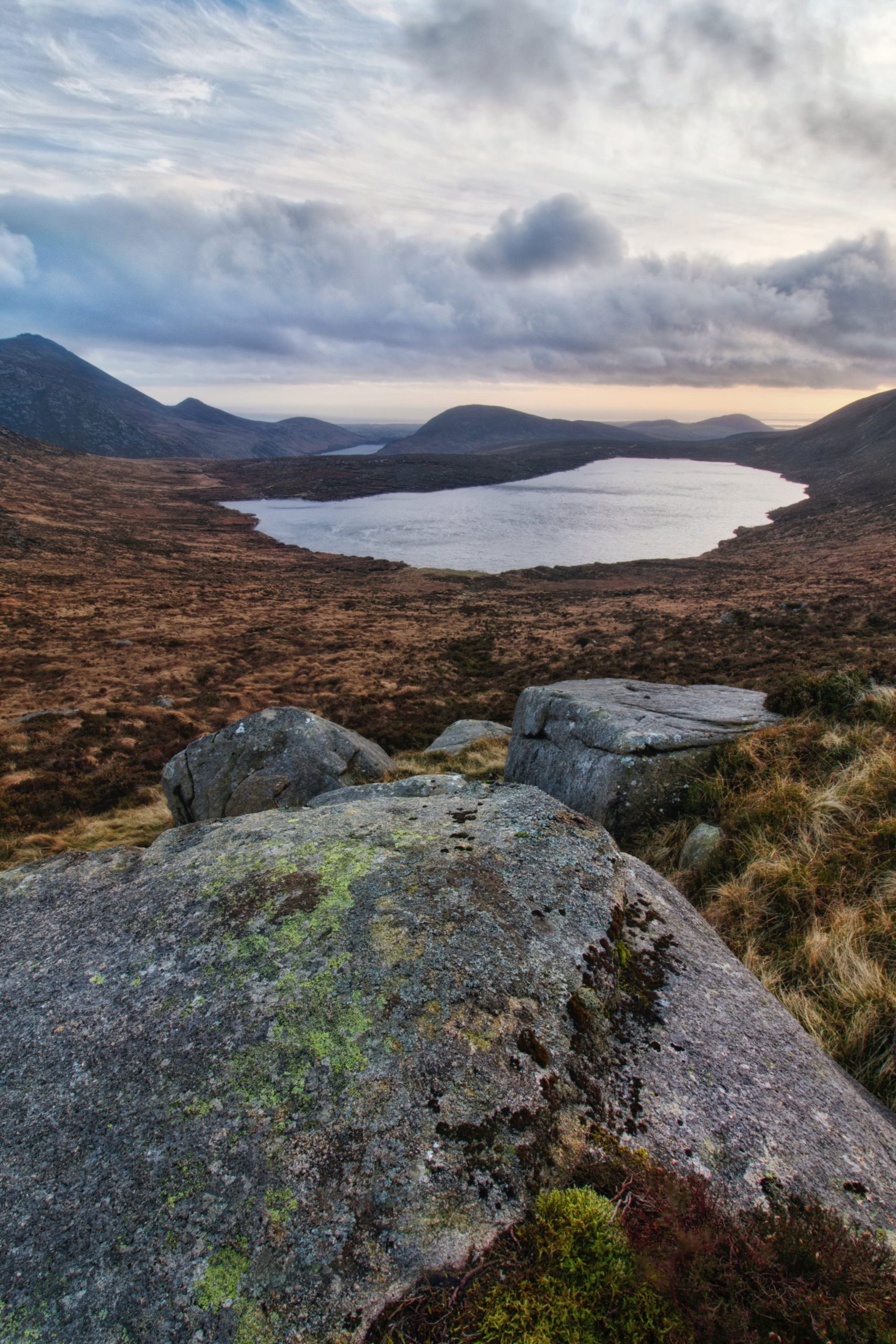 Carbon Credits Ireland